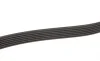 Ремінь генератора Audi A4/A5/A6 2.7TDI/3.0TDI 04-11 Gates 6PK2500 (фото 4)