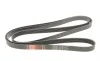 Ремень генератора Hyundai Santa Fe 12-15/Jeep Patriot 2.4 08- Gates 6PK2550 (фото 2)