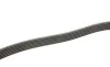 Ремінь генератора Mitsubishi Lancer 1.8 08-/Outlander 2.0-2.4 06- Gates 6PK2563 (фото 3)