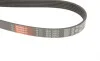 Ремінь генератора Jeep Grand Cherokee II 2.7 CRD 01-05 Gates 6PK2603 (фото 4)