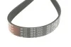 Ремінь генератора Mitsubishi Lancer 08-/Outlander 1.8-2.4 06-12 Gates 6PK2625 (фото 2)