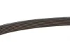 Ремень генератора Citroen Jumper/Fiat Ducato/Peugeot Boxer 2.0 94- Gates 6PK700 (фото 2)