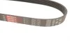 Ремень генератора Citroen Jumper/Fiat Ducato/Peugeot Boxer 2.0 94- Gates 6PK700 (фото 3)