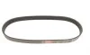 Ремень генератора Citroen Jumper/Fiat Ducato/Peugeot Boxer 2.0 94- Gates 6PK700 (фото 4)