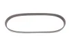 Ремень генератора MB S-class (W222/V222/X222) 14- Gates 6PK725 (фото 1)