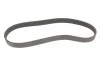 Ремінь генератора Citroen Berlingo/Fiat Ducato 1.9 D/TD 96-03 Gates 6PK730 (фото 4)