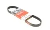 Ремень генератора Skoda Octavia/Fabia/VW Caddy III/Golf III/V/VI 1.4/1.6 91- Gates 6PK738 (фото 1)