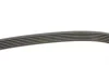 Ремень генератора Skoda Octavia/Fabia/VW Caddy III/Golf III/V/VI 1.4/1.6 91- Gates 6PK738 (фото 3)