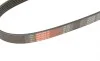 Ремень генератора Skoda Octavia/Fabia/VW Caddy III/Golf III/V/VI 1.4/1.6 91- Gates 6PK738 (фото 5)