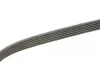 Ремінь генератора Audi A3/Q3/VW Caddy IV/Golf VII 1.0-1.2TSI/1.4TSI 15- Gates 6PK745 (фото 3)