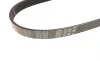 Ремень генератора Citroen Berlingo/Peugeot Partner 1.6HDI/ Ford Fiesta/Focus 1.4-1.6 TDCi 01- Gates 6PK803 (фото 3)