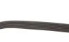 Ремень генератора Chevrolet Aveo 1.4 06-07 Gates 6PK883 (фото 4)