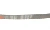 Ремень генератора Fiat Scudo/Peugeot Expert 1.6 96-06 Gates 6PK893 (фото 4)