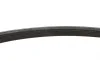 Ремінь генератора Citroen C4/C5 14-/Renault Kangoo/Clio 1.9D 97- Gates 6PK893XS (фото 6)