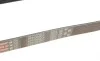 Ремень генератора VW Polo/Up 11-/Skoda Fabia 14-/Seat Ibiza 1.0/1.6 15- (6PK989) Gates 6PK989SF (фото 4)