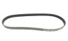 Ремень генератора BMW 3 (E90)/Opel Movano 2.0i/2.5DTI 03- Gates 7PK1103 (фото 4)