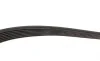Ремінь генератора Nissan Tilda 1.6i 07-12 Gates 7PK1140 (фото 3)