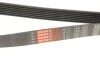 Ремінь генератора Toyota Camry 3.5 V6 11-17/ Lexus GS/ IS/ ES 2.5-3.5 05- Gates 7PK1550 (фото 5)