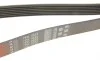 Ремень генератора BMW 5 (E39)/7 (E38)/X5 (E53) 3.5/4.4 90-03 M62 Gates 7PK1633 (фото 4)