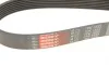 Ремень генератора BMW 5 (E39)/7 (E38)/X5 (E53) 3.5/4.4 90-03 M62 Gates 7PK1633 (фото 5)