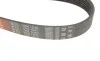 Ремінь генератора Nissan Patrol 3.0 DTi 00- Gates 7PK1640 (фото 4)