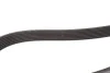 Ремень генератора BMW X5 (E70) 4.8i 07-08/Renault Master/Opel Movano 2.3 dCi/CDTI 10- Gates 7PK1663 (фото 3)