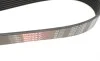 Ремень генератора Renault Megane II 2.0 dCi 05-09 Gates 7PK1705 (фото 3)