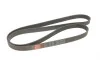 Ремень генератора BMW 3 (E90-E93)/5 (E60) 3.0 06-11 N54/N55 Gates 7PK1855 (фото 4)