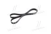 Поликлиновый ремень Micro-V (Выр-во) Gates 7PK1878XS (фото 2)