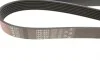 Ремінь генератора Toyota Camry/Avensis/RAV4 2.0/2.4 00-/Land Cruiser Prado 3.0D 00- Gates 7PK1933 (фото 3)