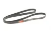 Ремінь генератора Honda Accord VIII 2.0 I 08-/ Land Rover Range Rover II 3.9-4.6 94-02 Gates 7PK2080 (фото 6)