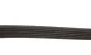 Ремень генератора MB C-class (W203/W204)/E-class (W211/W212) 2.0 02-14 M271 Gates 7PK2418 (фото 3)