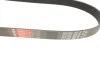Ремінь генератора Mazda 3/5/6 2.0 DI/CD 02-10 Gates 8PK1225 (фото 2)