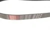 Ремень генератора Mazda MPV II 2.0D 02-06 Gates 8PK1230 (фото 2)