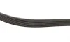 Ремень генератора Mazda MPV II 2.0D 02-06 Gates 8PK1230 (фото 3)