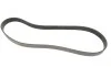 Ремень генератора Mazda MPV II 2.0D 02-06 Gates 8PK1230 (фото 4)