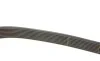 Ремінь генератора Mazda 3/6 2.2D 10-13 Gates 8PK1310XS (фото 3)