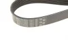 Ремінь генератора Mazda 3/6 2.2D 10-13 Gates 8PK1310XS (фото 4)