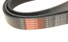 Ремінь генератора Toyota Land Cruiser 4.6 V8 10- Gates 8PK2410 (фото 5)