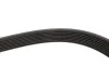 Ремень генератора Jeep Grand Cherokee II 3.1TD 99-01 Gates 8PK2485 (фото 3)