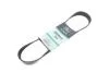 Ремень генератора Man TGA 00-/ E2000 95-00 (8PK880) Gates 8PK880HD (фото 2)