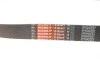 Ремень генератора BMW 3 (F30)/5 (F10) 11-16 (N55B30A) (8PK942) Gates 8PK942EST (фото 5)