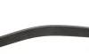 Ремень генератора BMW X1 (F48)/X2 (F39) 20- B38 (8PK954) Gates 8PK954EST (фото 5)