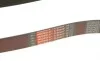 Ремень генератора BMW X1 (F48)/X2 (F39) 20- B38 (8PK954) Gates 8PK954EST (фото 6)