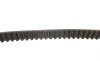 Комплект ГРМ Opel Astra F/Vectra B 1.4/1.6 16V 94-05 Gates K015369XS (фото 3)