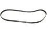 Комплект ГРМ Opel Astra F/Vectra B 1.4/1.6 16V 94-05 Gates K015369XS (фото 4)