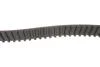 Комплект ГРМ Citroen Jumper/Peugeot Boxer 2.5D 94-02 Gates K015420XS (фото 9)