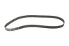Комплект ГРМ Citroen Berlingo/Peugeot Partner 1.6 16 V 00- Gates K015581XS (фото 5)