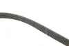 Комплект ремня генератора Renault Megane/Scenic 1.4/1.6 00-09 (5PK1750) Gates K015PK1750 (фото 3)