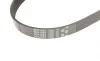 Комплект ремня генератора VW Caddy/Golf/Passat/Skoda Octavia/Superb 1.9/2.0TDI 04-11 Gates K016PK1053 (фото 3)